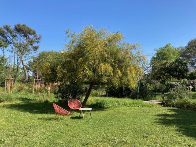 Un Jardin Dans La Ville La Ciotat Ngoại thất bức ảnh